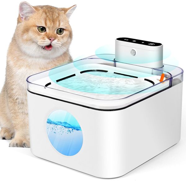 Battery powered cat drinking fountain hotsell