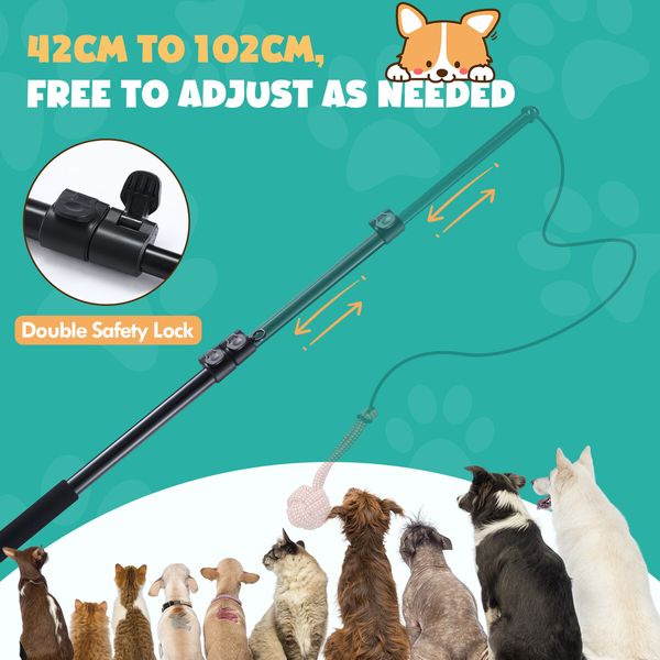 Dog Cat Toy Pet Play Interactive Flirt Pole Wand Retractable Training Exercise Tug Equipment Durable Teaser Chase Stick