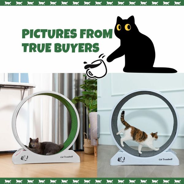 Cat Wheel Running Toy Exerciser Fitness Workout Treadmill Machine Indoor Feline Spinning Walking Training Circle Plastic