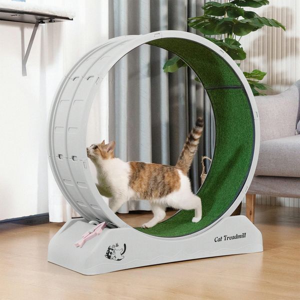 Cat Wheel Running Toy Exerciser Fitness Workout Treadmill Machine Indoor Feline Spinning Walking Training Circle Plastic