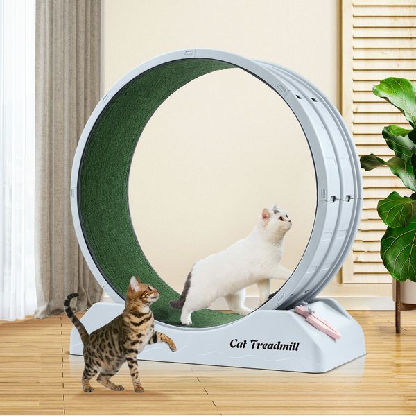 Cat Wheel Running Toy Exerciser Fitness Workout Treadmill Machine Indoor Feline Spinning Walking Training Circle Plastic