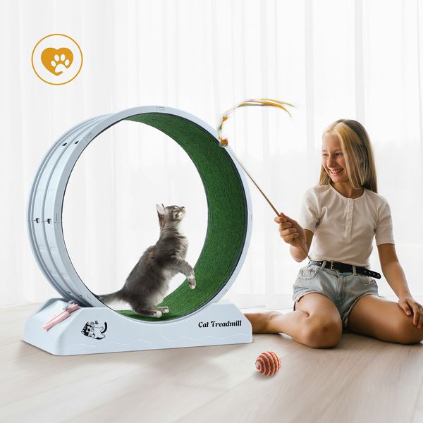 Cat Wheel Running Toy Exerciser Fitness Workout Treadmill Machine Indoor Feline Spinning Walking Training Circle Plastic