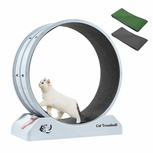 Cat Wheel Running Toy Exerciser Fitness Workout Treadmill Machine Indoor Feline Spinning Walking Training Circle Plastic