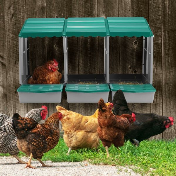 3 Hole Chicken Nesting Box Chook Hen Roll Away Laying Boxes Poultry Modular House Egg Coop Nest Perch Plastic