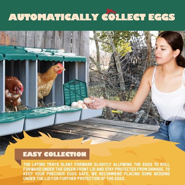 3 Hole Chicken Nesting Box Chook Hen Roll Away Laying Boxes Poultry Modular House Egg Coop Nest Perch Plastic