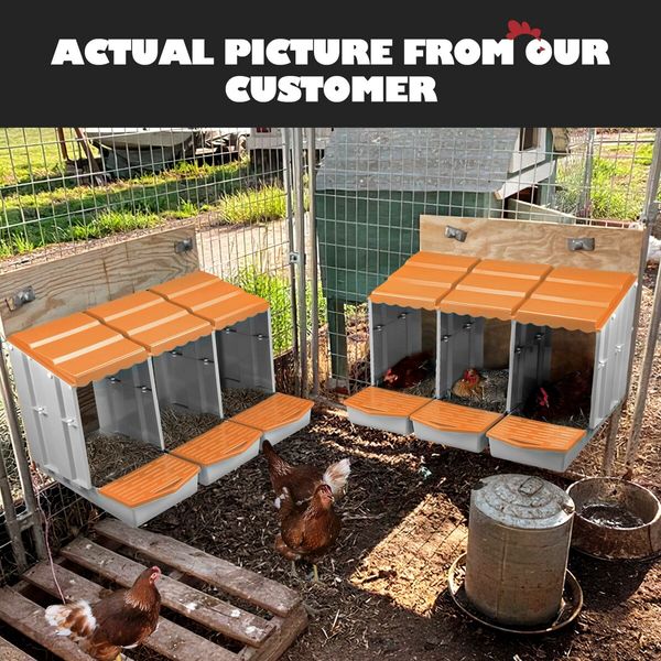 3 Hole Chicken Nesting Box Hen Chook Roll Away Modular Laying Boxes Poultry Perch Egg Coop Nest House Plastic