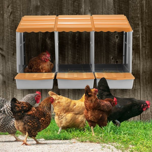 3 Hole Chicken Nesting Box Hen Chook Roll Away Modular Laying Boxes Poultry Perch Egg Coop Nest House Plastic