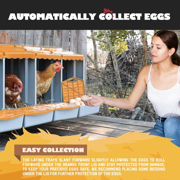 3 Hole Chicken Nesting Box Hen Chook Roll Away Modular Laying Boxes Poultry Perch Egg Coop Nest House Plastic