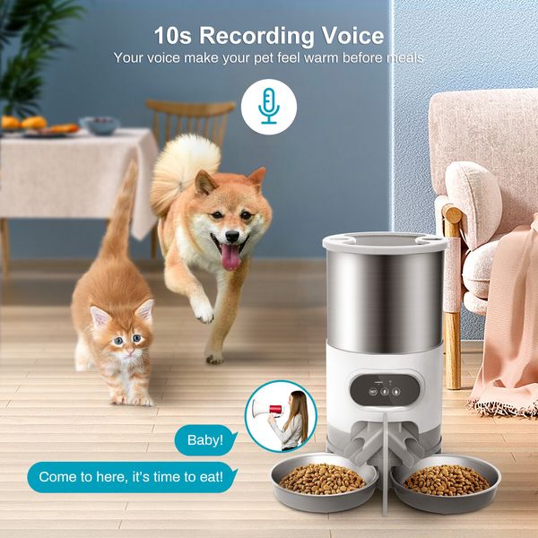 Cat Timing Feeder Smart APP Cat Feeder Stainless Steel Double Meal Pet Food Remote Feeding Automatic Dispenser Suitable Cats Dog