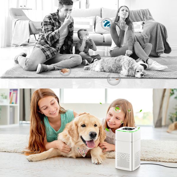 HEPA Air Purifier Cleaner Portable Room Dust Filter Purification System Quiet Activated Carbon Filtration 4 Speeds