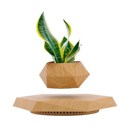 Levitating Plant Pot Floating Plant Pot for Small Plants Home Office Decor Magnetic Floating Levitating Display (Wood)