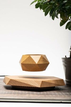 Levitating Plant Pot Floating Plant Pot for Small Plants Home Office Decor Magnetic Floating Levitating Display (Wood)