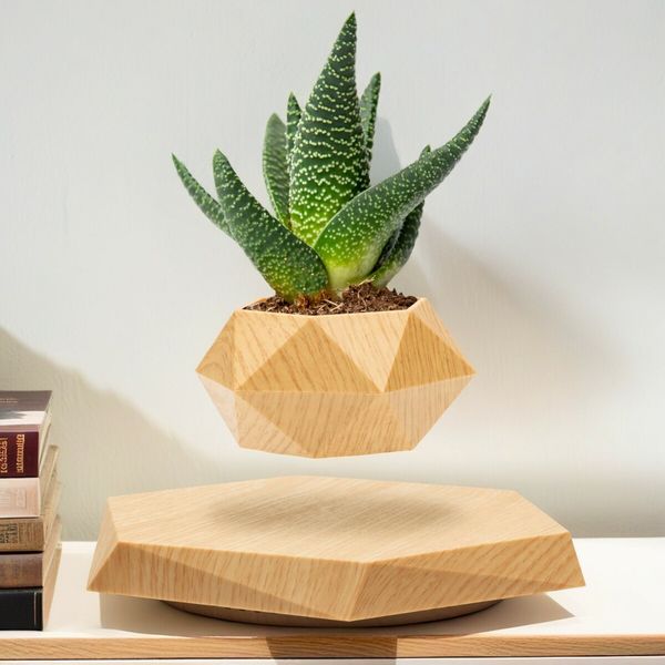 Levitating Plant Pot Floating Plant Pot for Small Plants Home Office Decor Magnetic Floating Levitating Display (Wood)