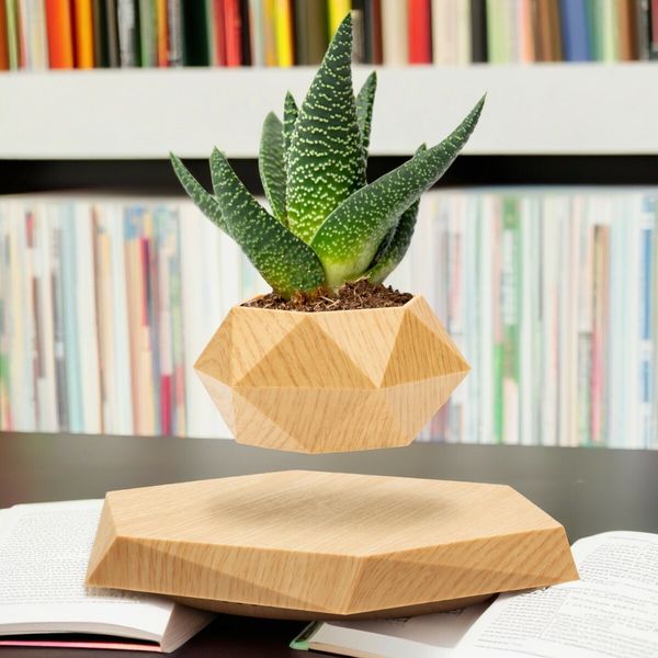 Levitating Plant Pot Floating Plant Pot for Small Plants Home Office Decor Magnetic Floating Levitating Display (Wood)