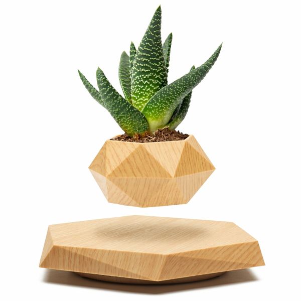 Levitating Plant Pot Floating Plant Pot for Small Plants Home Office Decor Magnetic Floating Levitating Display (Wood)