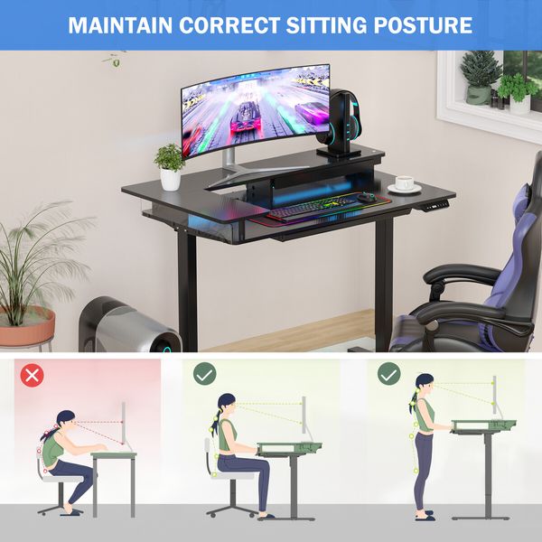 LED Gaming Standing Desk Sit Stand Up Table Electric Motorised Height Adjustable Carbon Fiber RGB Light Monitor Shelf Drawer