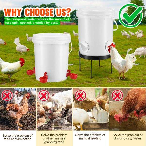 Chicken Bird Feeder Waterer Automatic Water Food Dispenser Auto Chook Hen Chick Poultry Drinker Cup PVC Feeding Port 20L