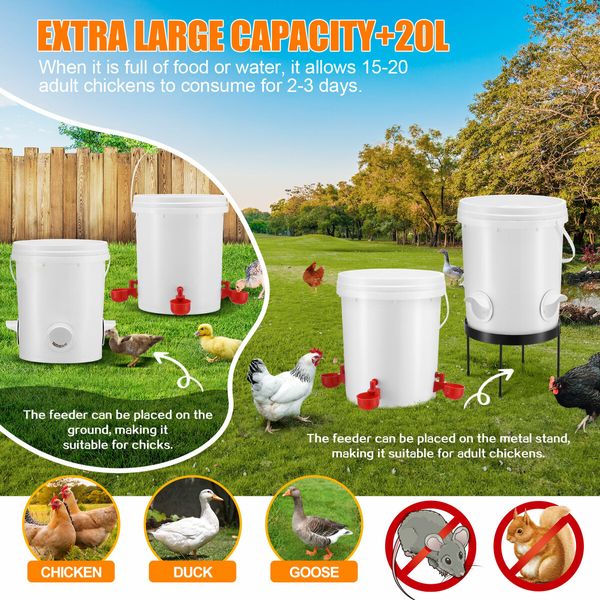 Chicken Bird Feeder Waterer Automatic Water Food Dispenser Auto Chook Hen Chick Poultry Drinker Cup PVC Feeding Port 20L