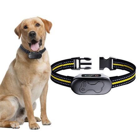 Dog Shock Collar for 2 Dogs, Remote Control Dog Training Collar for Large, Medium and Small Dogs, Waterproof Rechargeable Electronic Collar with 4 Modes (Blue)