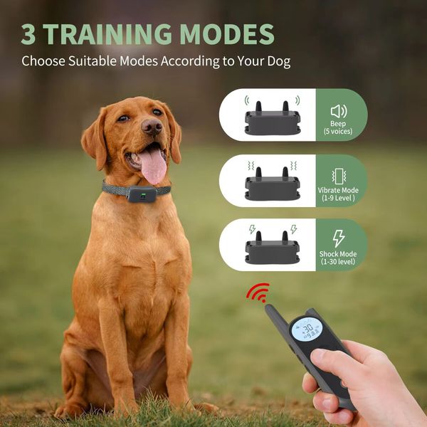 2 Receivers 1800m Remote Range Dog Training Collar Rechargeable Type-C Power 9 Vibration Levels 30 Shock Levels Waterproof up to 4 dogs Long Standby