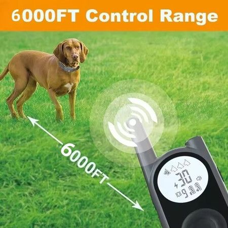 2 Receivers 1800m Remote Range Dog Training Collar Rechargeable Type-C Power 9 Vibration Levels 30 Shock Levels Waterproof up to 4 dogs Long Standby