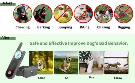 2 Receivers 1800m Remote Range Dog Training Collar Rechargeable Type-C Power 9 Vibration Levels 30 Shock Levels Waterproof up to 4 dogs Long Standby