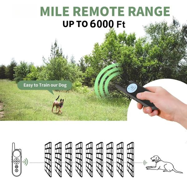 2 Receivers 1800m Remote Range Dog Training Collar Rechargeable Type-C Power 9 Vibration Levels 30 Shock Levels Waterproof up to 4 dogs Long Standby