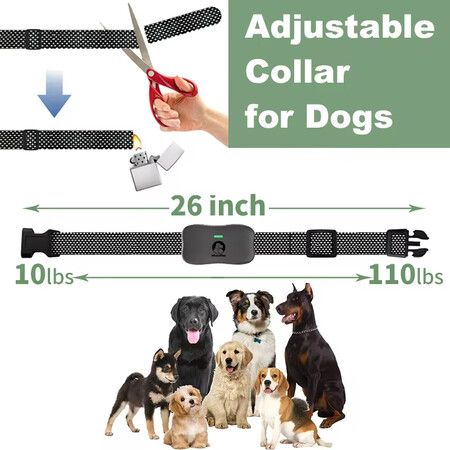 2 Receivers 1800m Remote Range Dog Training Collar Rechargeable Type-C Power 9 Vibration Levels 30 Shock Levels Waterproof up to 4 dogs Long Standby