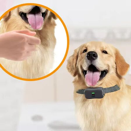 2 Receivers 1800m Remote Range Dog Training Collar Rechargeable Type-C Power 9 Vibration Levels 30 Shock Levels Waterproof up to 4 dogs Long Standby