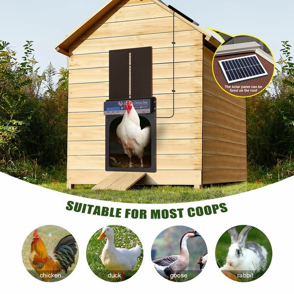 Auto Chicken Coop Door Solar Powered Cage Opener Closer Kit Automatic Safe Timer Light Sensor Hen House Poultry Pen Run