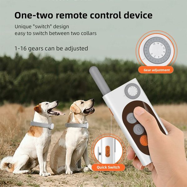 Recording Dog Shock Collar Waterproof Rechargeable E-Collar for Dogs with 16 Levels Beep Vibration Shock  with Remote NO Electrical shockShock