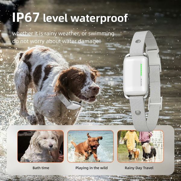 Recording Dog Shock Collar Waterproof Rechargeable E-Collar for Dogs with 16 Levels Beep Vibration Shock  with Remote NO Electrical shockShock