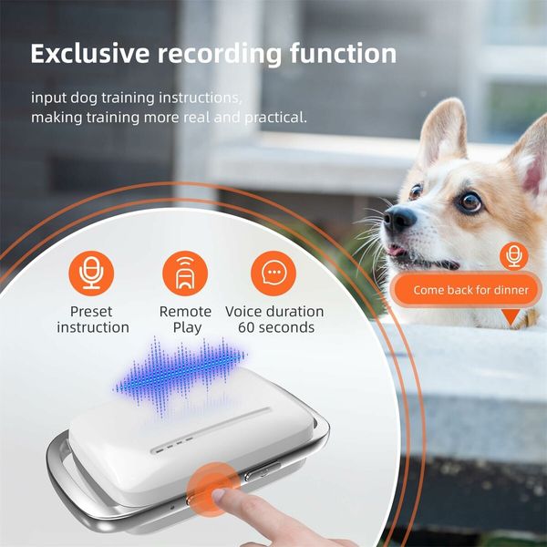 Recording Dog Shock Collar Waterproof Rechargeable E-Collar for Dogs with 16 Levels Beep Vibration Shock  with Remote NO Electrical shockShock