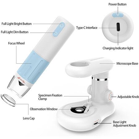 1000x Digital Microscope, Coin Magnifier with 8 Adjustable LED Lights, Compatible with iPhone, Android, Mac, Windows