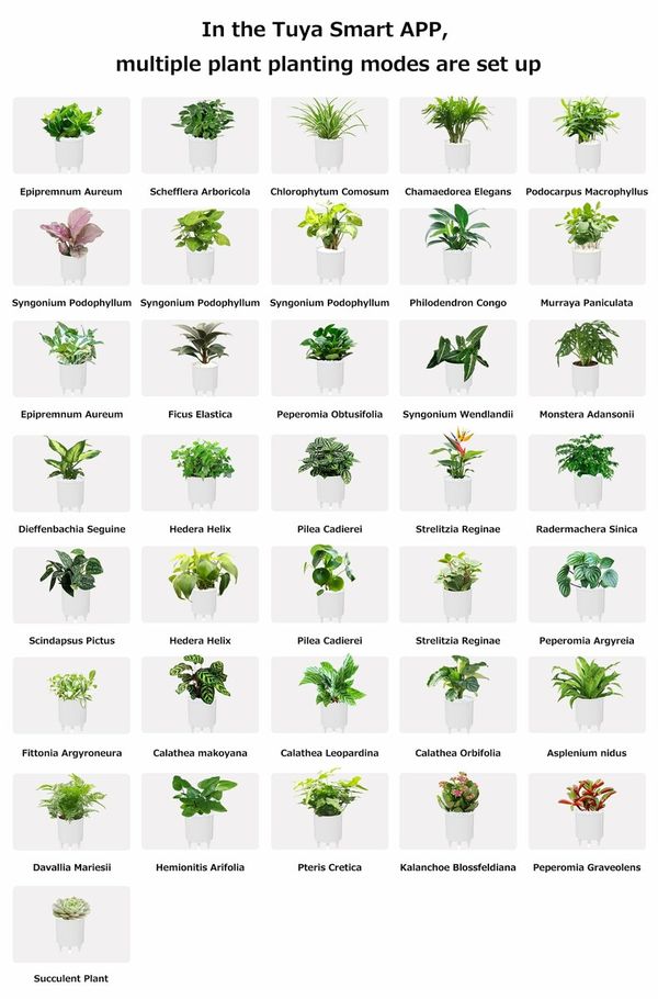 Smart Flowerpots,Smart Pet Planter,AI Planter,Intelligent Flowerpots,Multiple Expressions,7 Smart Sensors,and AI Chips Make Raising Plants Easy and Fun for Living Room,Plant-free (Purple)