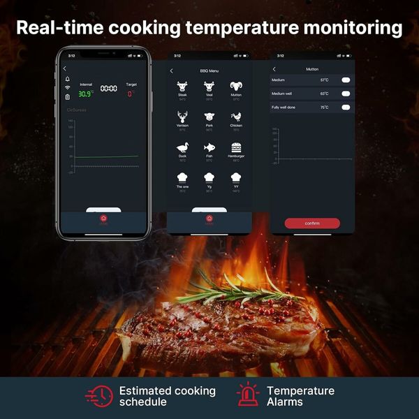 Wireless Meat Thermometer, Bluetooth Meat Thermometer with Smart APP Control, Food Thermometer for Grilling and Smoking, Digital BBQ Meat Thermometer