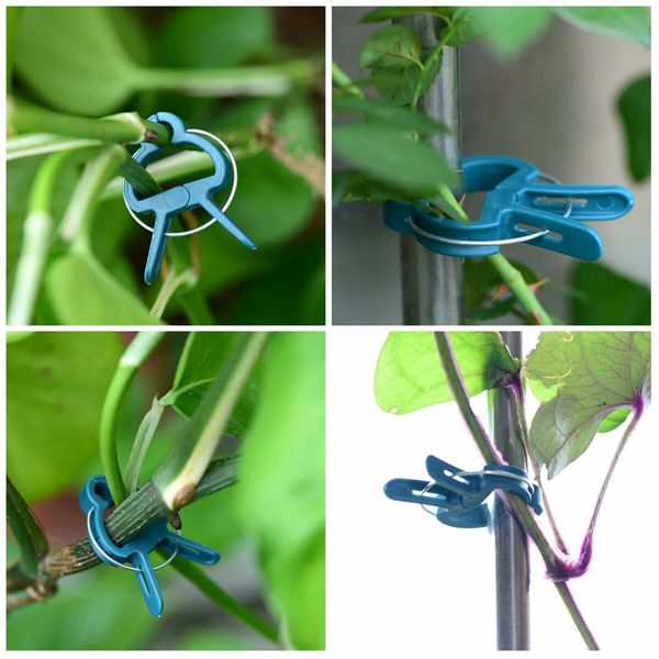 60PCS Plant Clips 2 Sizes Adjusting Reusable Garden Plant Supports Clips for Supporting Stems of Flower Vine Vegetables Tomatoes Climbing