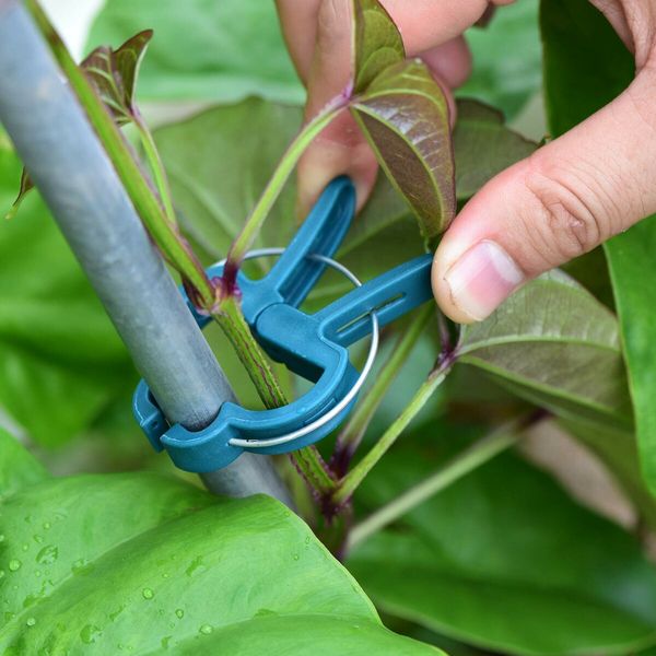 60PCS Plant Clips 2 Sizes Adjusting Reusable Garden Plant Supports Clips for Supporting Stems of Flower Vine Vegetables Tomatoes Climbing