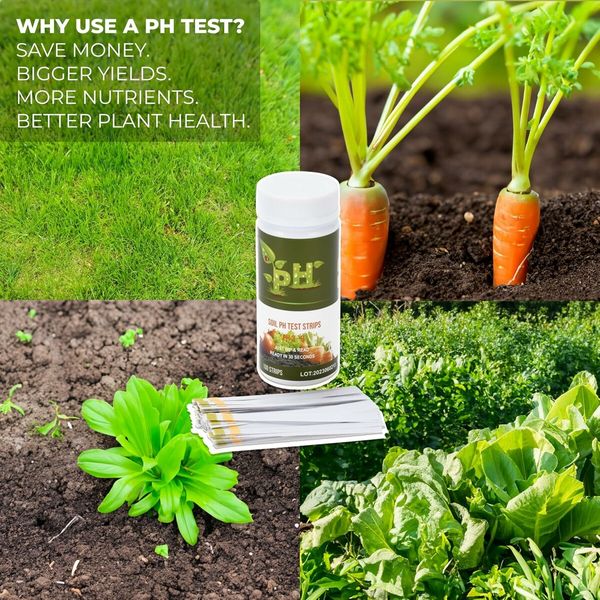 100 Strip Soil pH Test Kit, Complete pH Test Checker for Gardens, Lawns, Grass, and Vegetable, Gardening Tool, 1 Pack