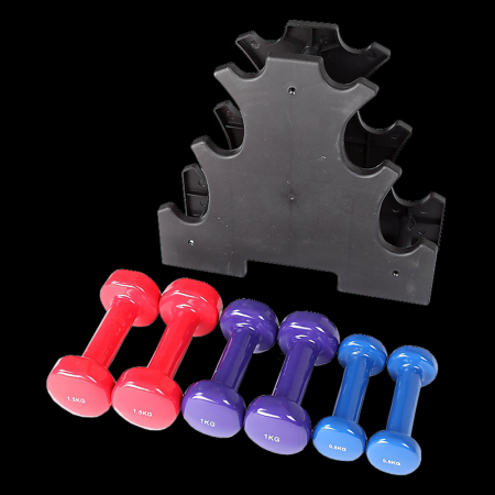 6-Piece Dumbbell Set with Rack