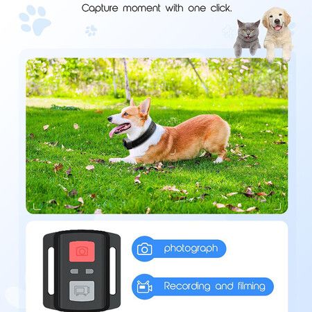 4K HD WiFi Pet Camera  Mini Action Camera for Video Records, Dog Cat  Collar Camera