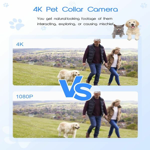 4K HD WiFi Pet Camera  Mini Action Camera for Video Records, Dog Cat  Collar Camera