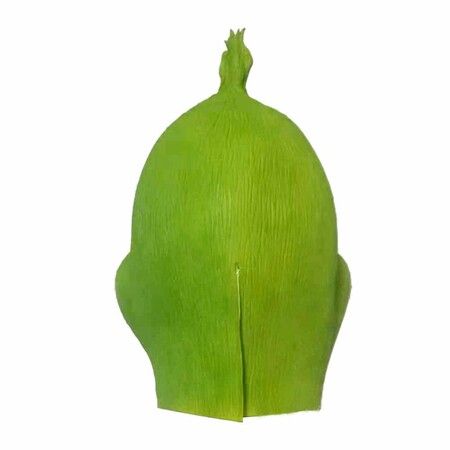 The Grinch Mask Costume Halloween Christmas Party Green Full Head Mask