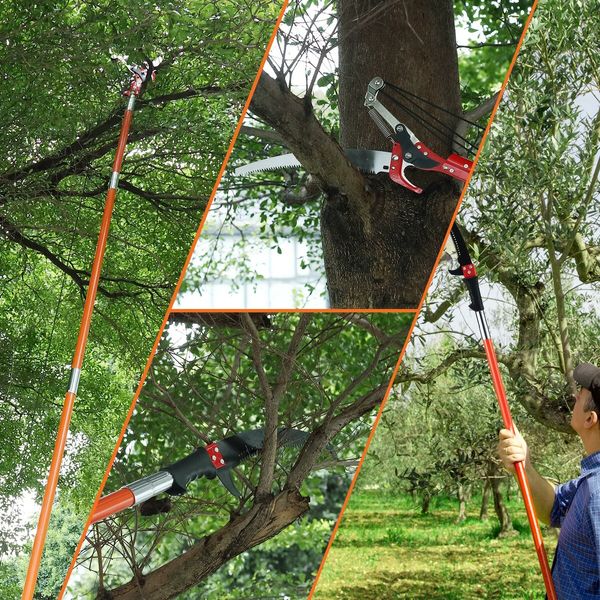 Manual Pole Saw Tree Pruner Extendable Branch Pruning Trimmer Trimming Cutter with 8 Fibreglass Rods Sharp Steel Blades Scissors