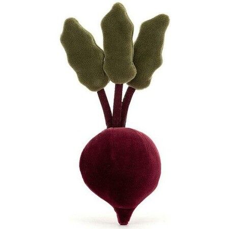 Vivacious Vegetable Beetroot 20cm