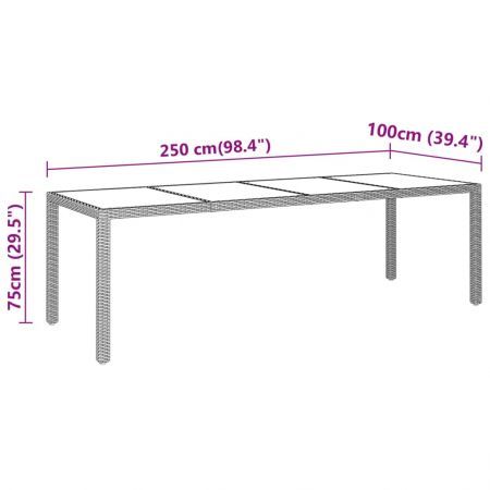 Garden Table 250x100x75 cm Tempered Glass and Poly Rattan Black