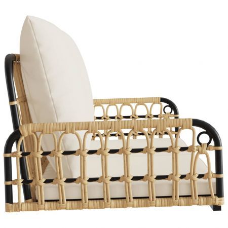 Swing Bench with Cushions 105x58x38 cm Poly Rattan and Steel