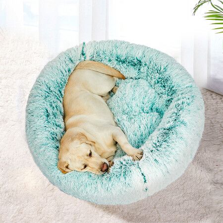 Replaceable Cover For Dog Calming XXL Teal Cover XX-Large