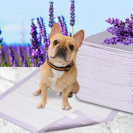 200x Pet Dog Toilet Training Pad