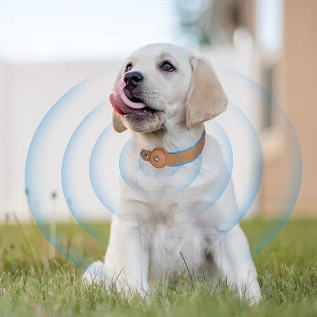 Bluetooth Pet Tracker Collar Anti-lost